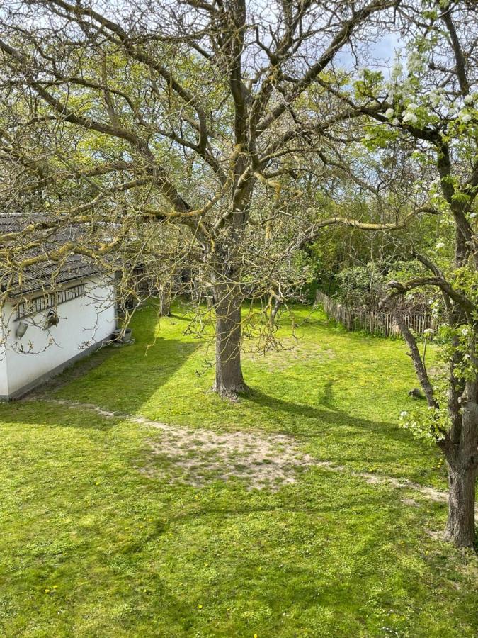 Kleines Haus Am Feld Villa Rehna ภายนอก รูปภาพ
