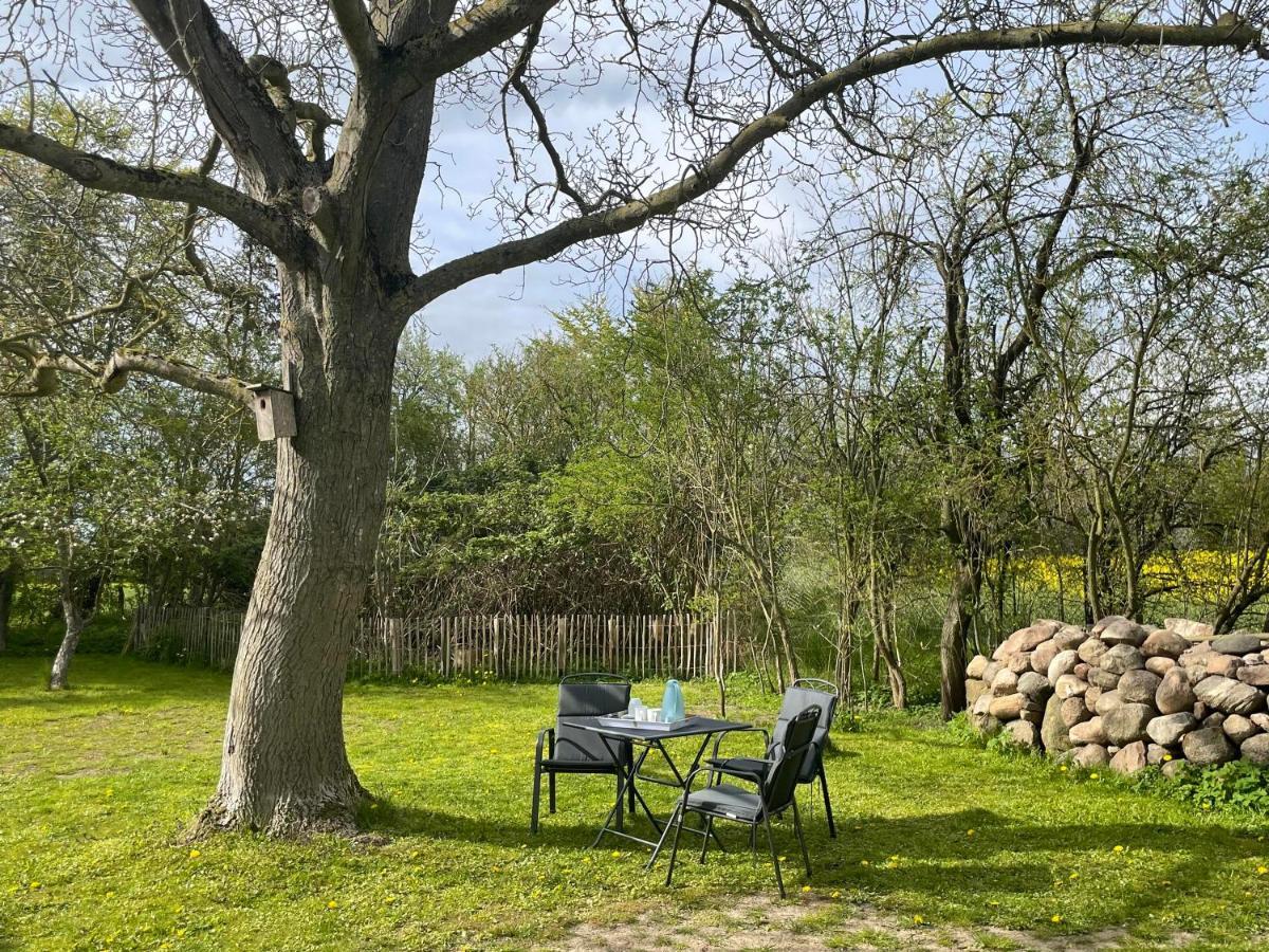 Kleines Haus Am Feld Villa Rehna ภายนอก รูปภาพ
