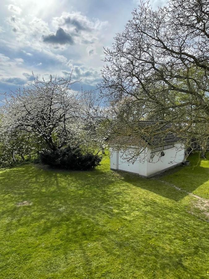 Kleines Haus Am Feld Villa Rehna ภายนอก รูปภาพ