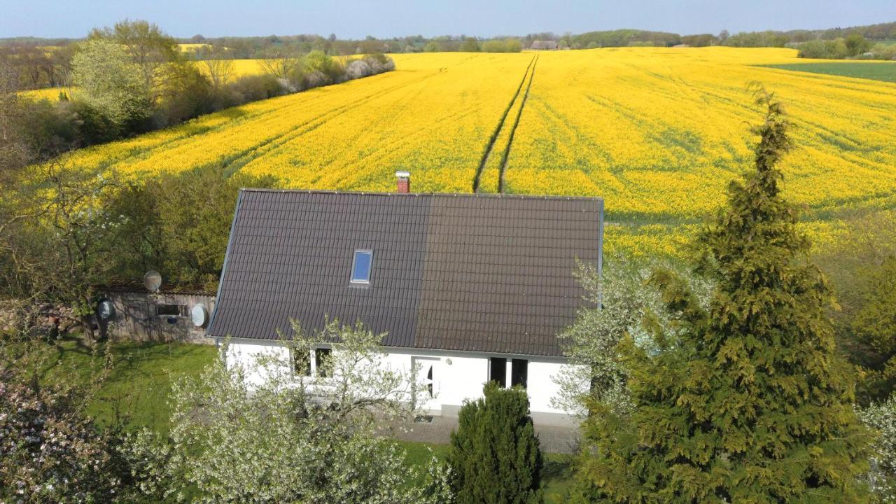 Kleines Haus Am Feld Villa Rehna ภายนอก รูปภาพ